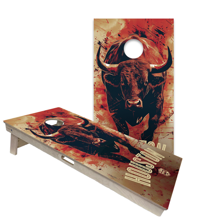 World Series of Cornhole Official 2' x 4' Professional Cornhole Board Runway 2402P - Houston Texans