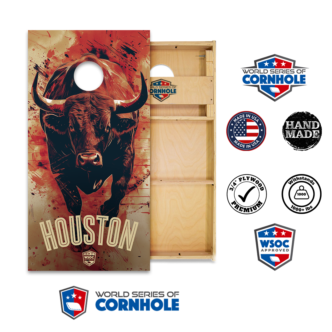 World Series of Cornhole Official 2' x 4' Professional Cornhole Board Runway 2402P - Houston Texans