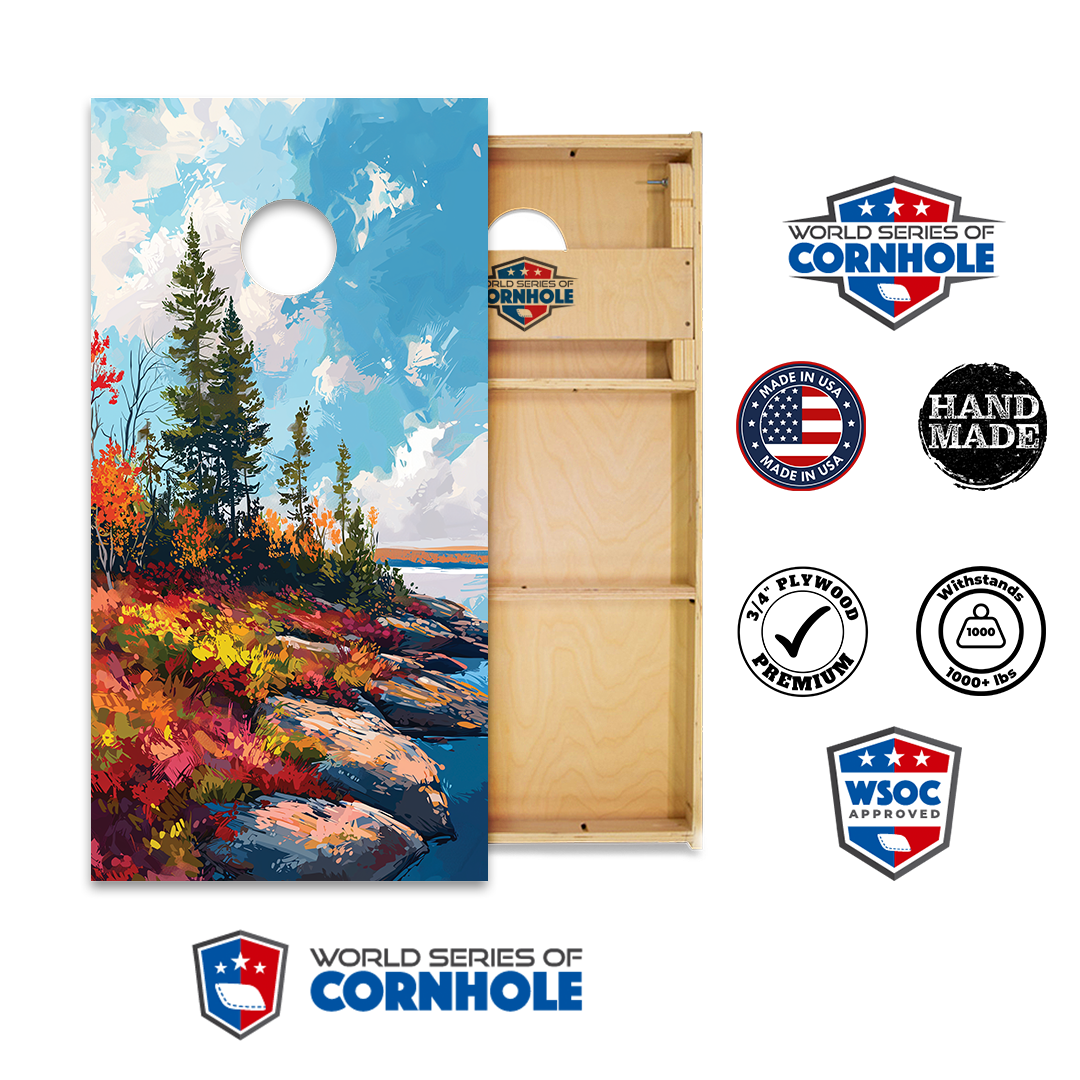 World Series of Cornhole Official 2' x 4' Professional Cornhole Board Runway 2402P - National Park - Acadia