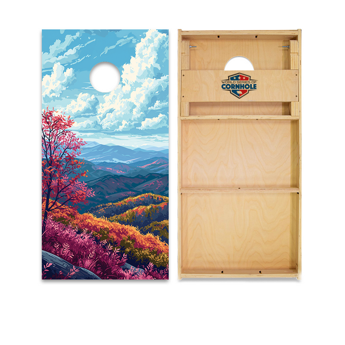 World Series of Cornhole Official 2' x 4' Professional Cornhole Board Runway 2402P - Shenandoah National Park