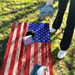World Series of Cornhole Lightweight Cornhole Set - Regular American Flag Boards with Stars & Stripes Bags