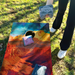 World Series of Cornhole Lightweight Cornhole Set - Capitol Reef National Park Daytime Boards with Red and Royal Blue Bags