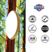 World Series of Cornhole Lightweight Cornhole Set - Redwood National Park Daytime Boards with Red and Royal Blue Bags