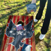 World Series of Cornhole Lightweight Cornhole Set - Stars and Stripes Eagle Boards with Red and Blue Bags