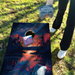 World Series of Cornhole Lightweight Cornhole Set - Acadia National Park Nighttime Boards with Red and Royal Blue Bags