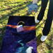 World Series of Cornhole Lightweight Cornhole Set - Capitol Reef National Park Nighttime Boards with Red and Royal Blue Bags