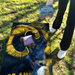 World Series of Cornhole Lightweight Cornhole Set - Los Angeles Rams Boards with Yellow and Royal Blue Bags