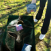 World Series of Cornhole Lightweight Cornhole Set - Michigan State Spartans Boards with White and Hunter Green Bags