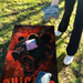 World Series of Cornhole Lightweight Cornhole Set - Chicago Bears Boards with Navy and Orange Bags