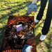 World Series of Cornhole Lightweight Cornhole Set - Cincinnati Bengals Boards with Black and Orange Bags