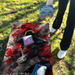 World Series of Cornhole Lightweight Cornhole Set - New England Patriots Boards with Red and Royal Blue Bags