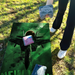 World Series of Cornhole Lightweight Cornhole Set - New York Jets Boards with White and Kelly Green Bags