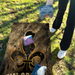 World Series of Cornhole Lightweight Cornhole Set - New Orleans Saints Boards with Black and Gold Bags