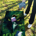 World Series of Cornhole Lightweight Cornhole Set - Seattle Seahawks Boards with Kelly Green and Navy Blue Bags