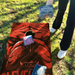 World Series of Cornhole Lightweight Cornhole Set - Cleveland Browns Boards with Brown and Orange Bags