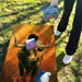 World Series of Cornhole Lightweight Cornhole Set - Texas Longhorns Boards with Orange and White Bags