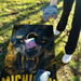World Series of Cornhole Lightweight Cornhole Set - Michigan Wolverines Boards with Maize and Blue Bags
