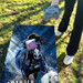 World Series of Cornhole Lightweight Cornhole Set - Indianapolis Colts Boards with White and Blue Bags