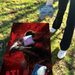 World Series of Cornhole Lightweight Cornhole Set - Atlanta Falcons Boards with Gray and Red Bags