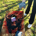 World Series of Cornhole Lightweight Cornhole Set - Houston Texans Boards with Navy Blue and Red Bags