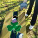 World Series of Cornhole Lightweight Cornhole Set - Notre Dame Fighting Irish Boards with Gold and Royal Blue Bags