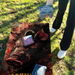 World Series of Cornhole Lightweight Cornhole Set - Washington Commanders Boards with Yellow and Red Bags
