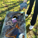 World Series of Cornhole Lightweight Cornhole Set - Withering Wilds Inshore Slam Boards with Red and Blue Bags